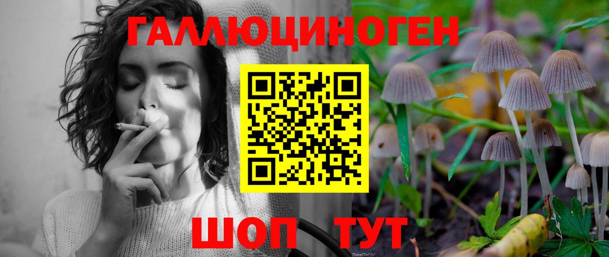 Красногорск  наркошоп  Вход с VPN  Галлюциногенные грибы прущие грибы  Псилоцибиновые грибы GOLDEN TEACHER 